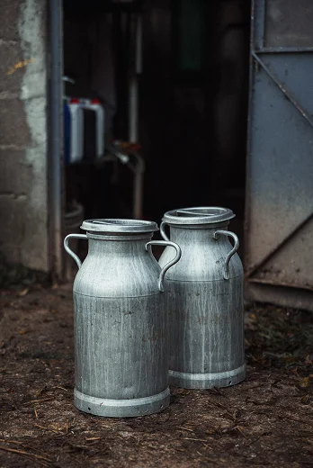 Des produits sains, frais et locaux à déguster à la ferme d'Azay le Ferron - Indre