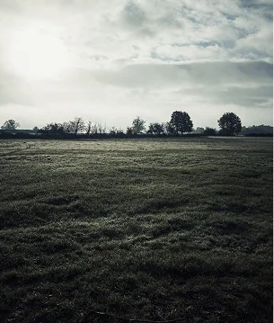 Chevreaux éléevés pour la viande à Azay le Ferron dans le Pays de la Brenne
